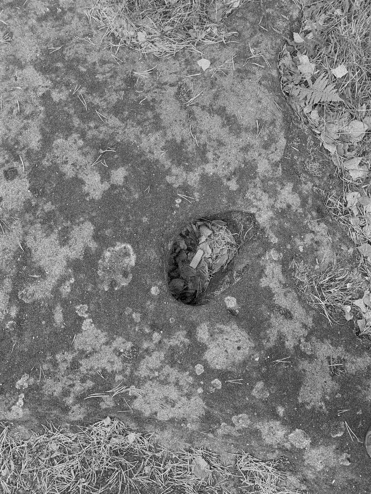 a USB in a basin on the top of a sandstone tower