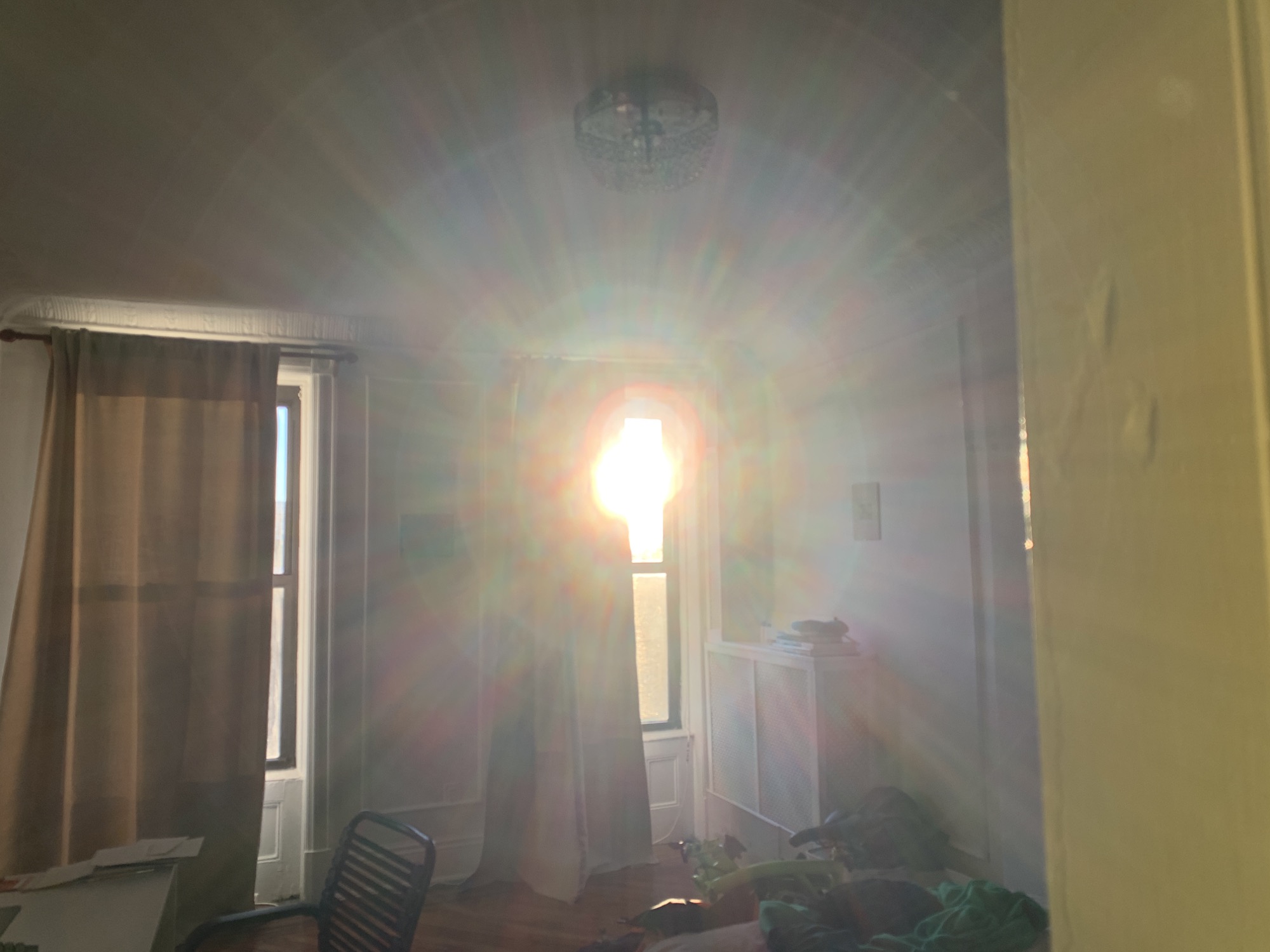 an image of a sunny apartment in park slope